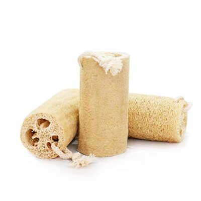 Sponges